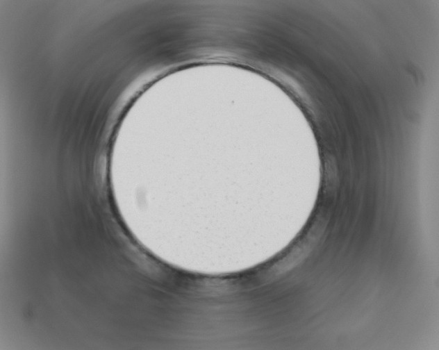 X0000112851424200910021242