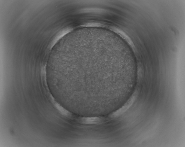 X0000112851425200910021242