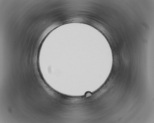 X0000112851426200910021242