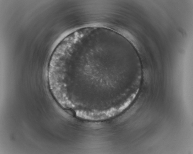 X0000112851428200910021242