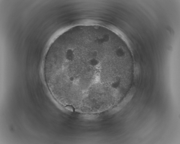 X0000112851429200910021242