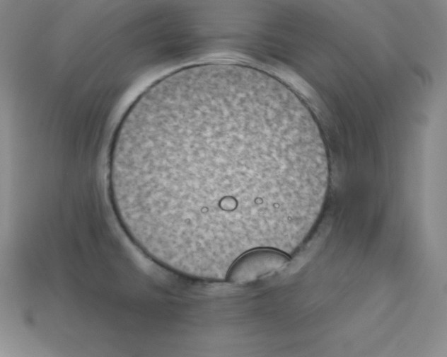 X0000112851430200910021242