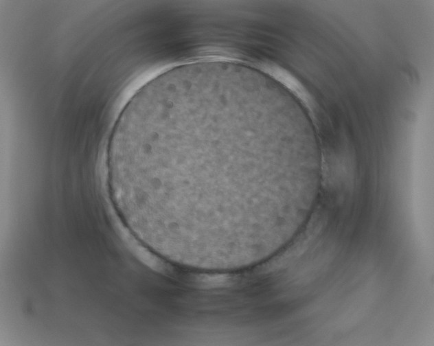 X0000112851431200910021242