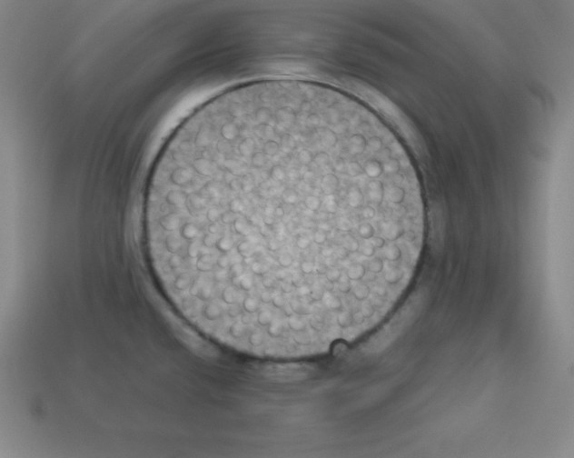 X0000112851432200910021242