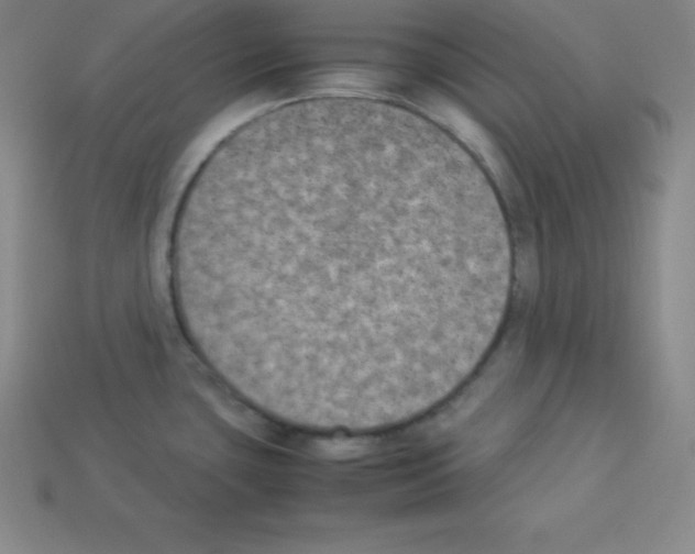 X0000112851435200910021242