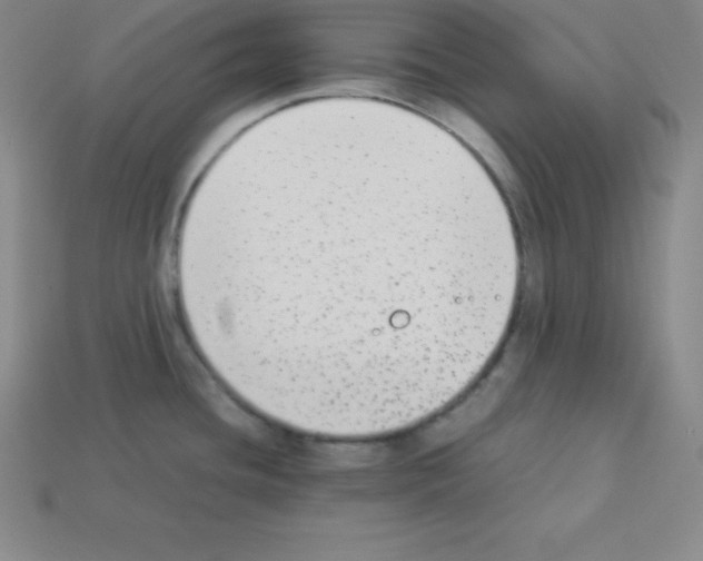 X0000112851436200910021242