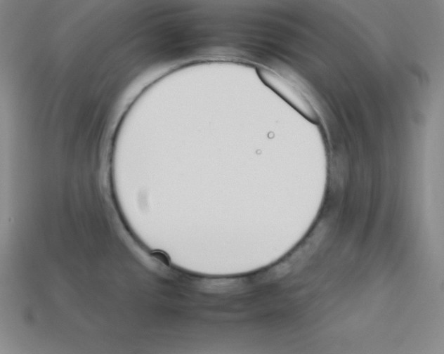 X0000112851437200910021242