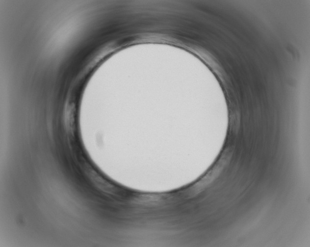 X0000112851438200910021242