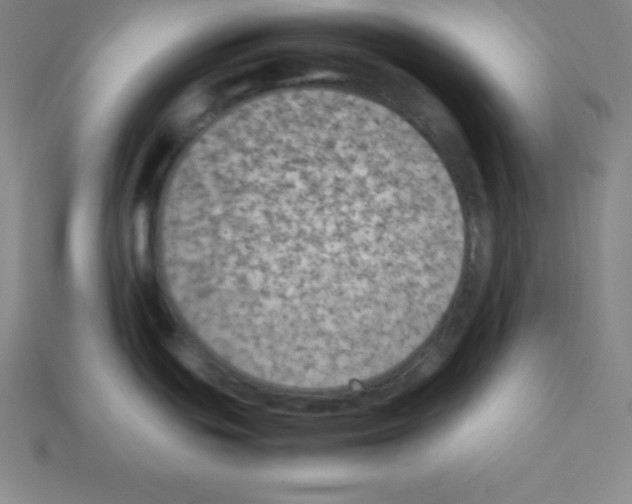 X0000112851439200910021242