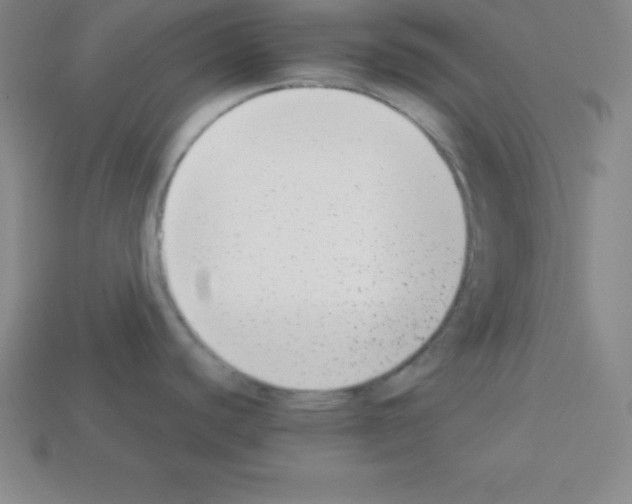 X0000112851440200910021242