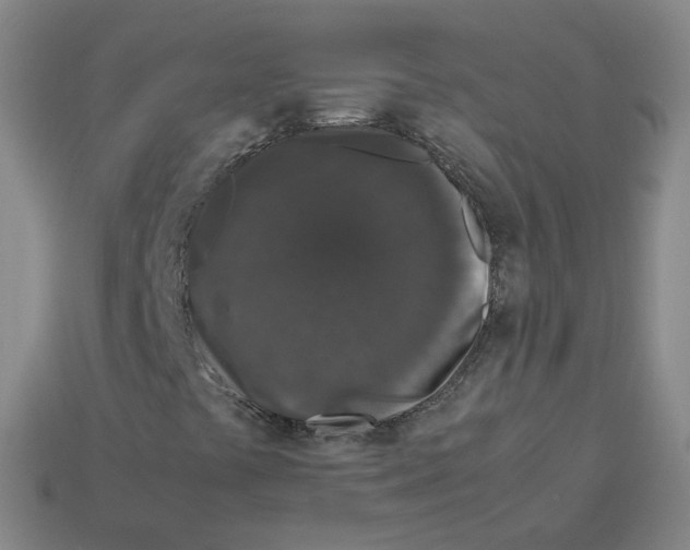 X0000112851441200910021242