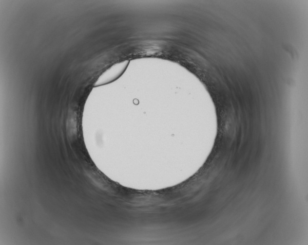 X0000112851442200910021242