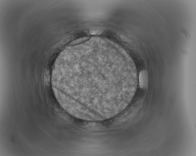 X0000112851443200910021242