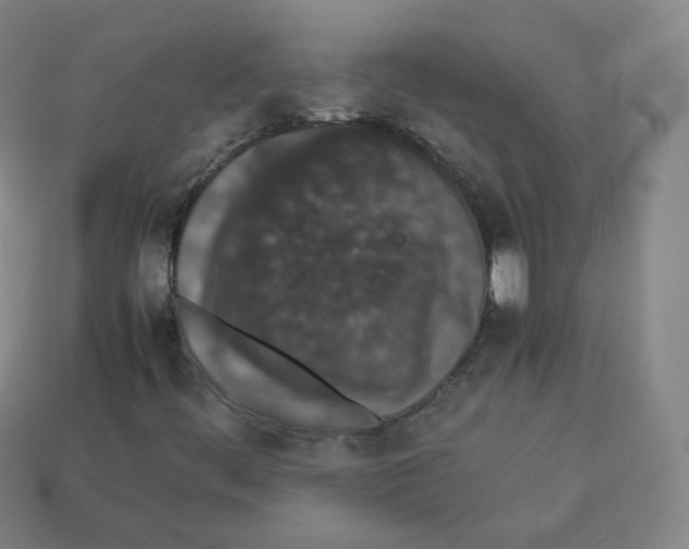 X0000112851444200910021242