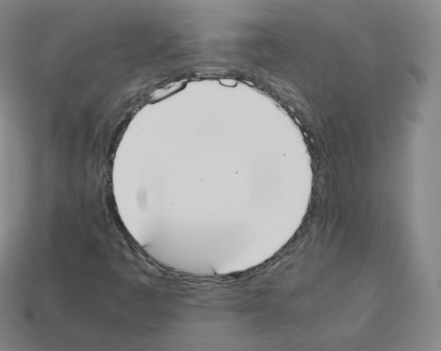 X0000112851445200910021242