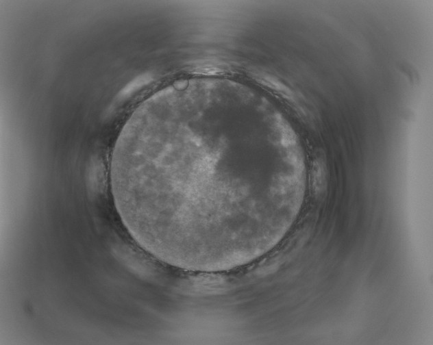 X0000112851446200910021242