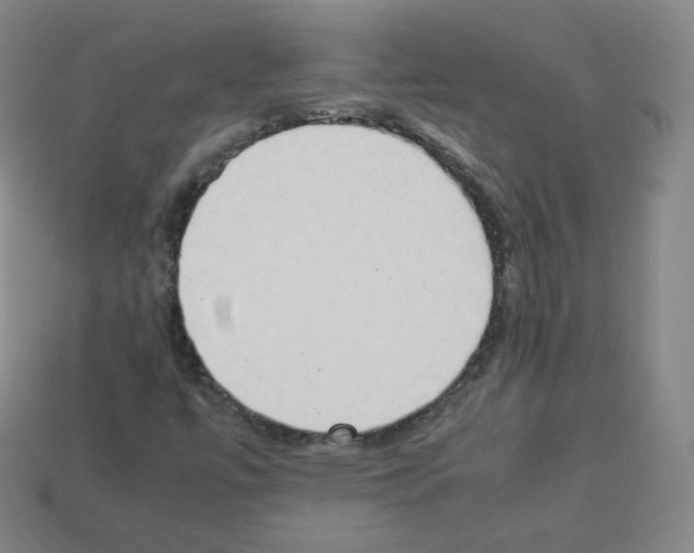 X0000112851447200910021242