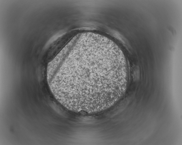 X0000112851448200910021242