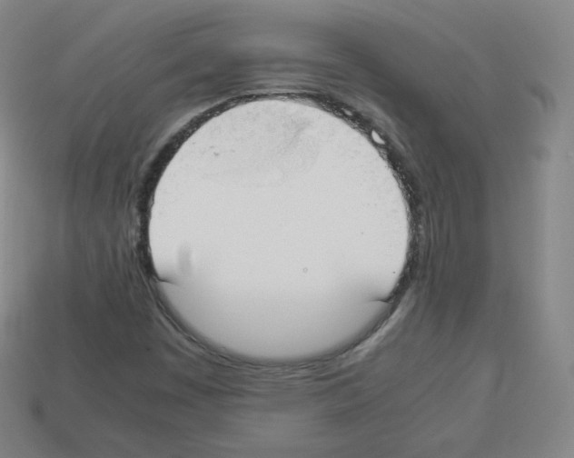 X0000112851449200910021242