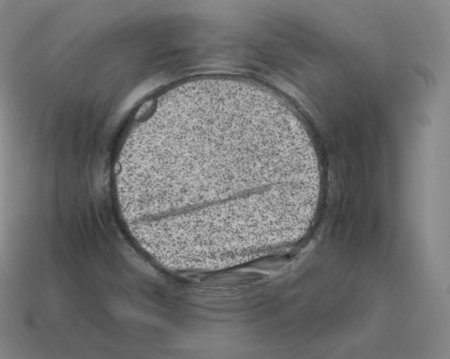 X0000112851450200910021242