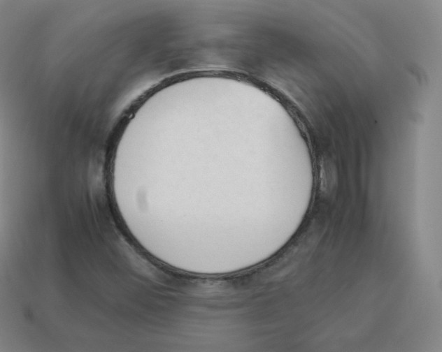 X0000112851452200910021242