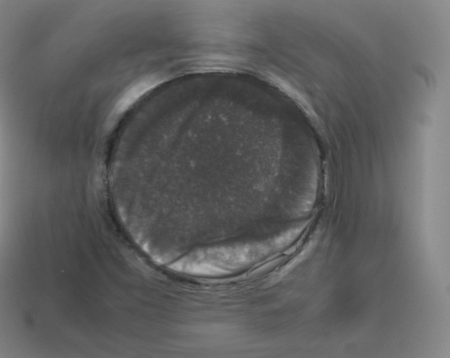 X0000112851453200910021242