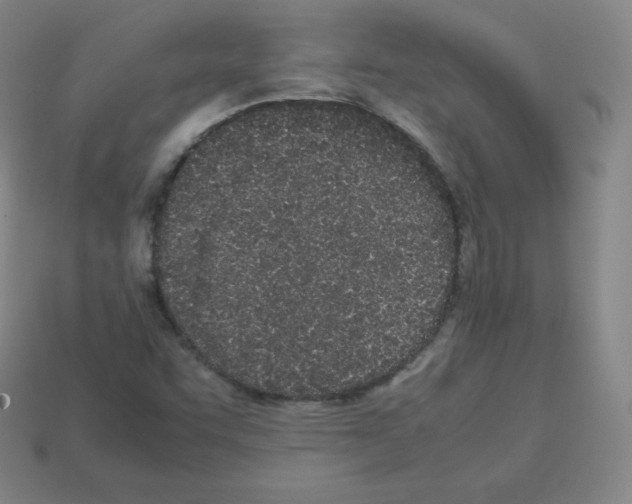 X0000112851455200910021242