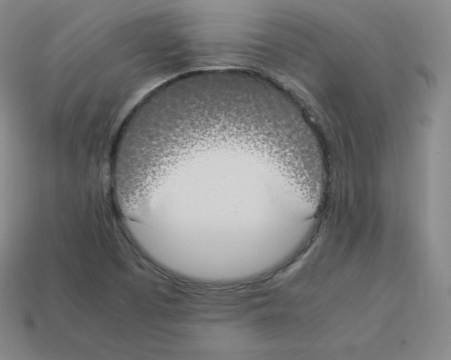 X0000112851457200910021242