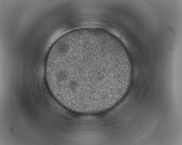 X0000112851459200910021241