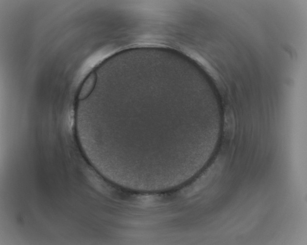 X0000112851461200910021241