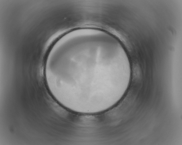 X0000112851462200910021241