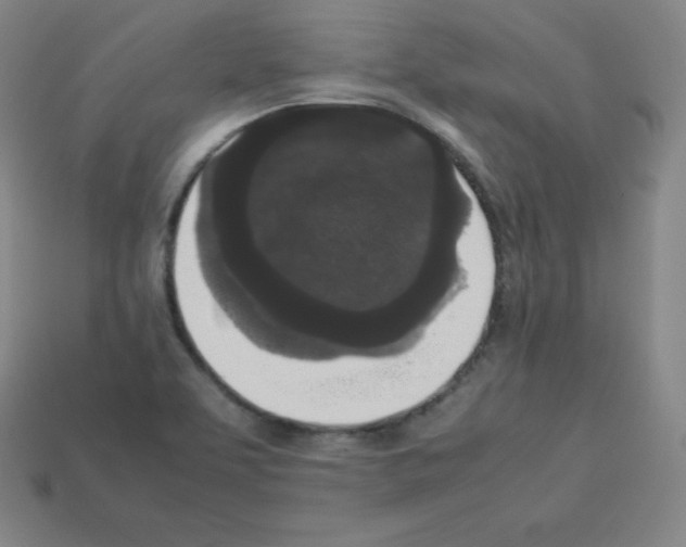 X0000112851463200910021241