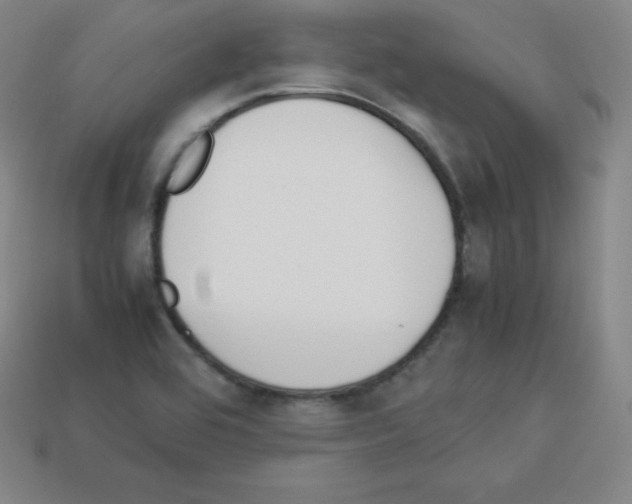 X0000112851464200910021241