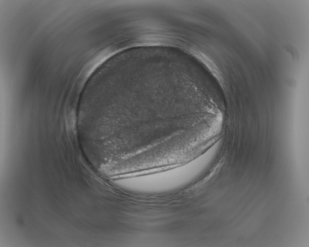 X0000112851465200910021241