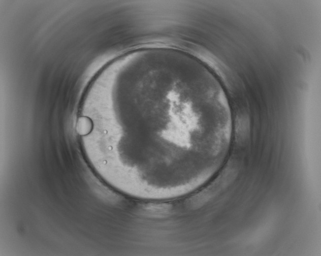 X0000112851466200910021241