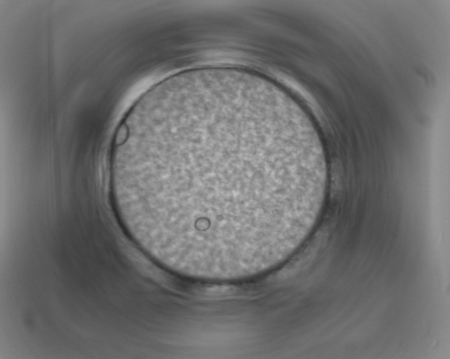 X0000112851467200910021241