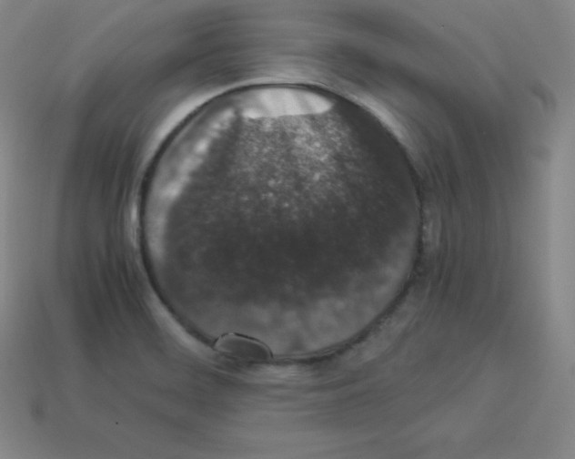 X0000112851468200910021241