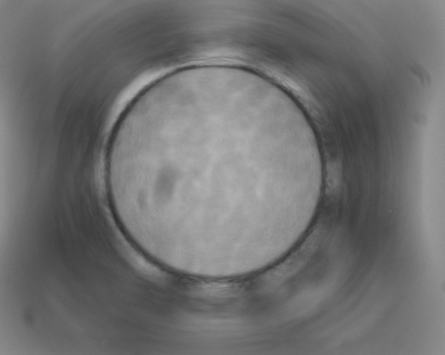 X0000112851470200910021241