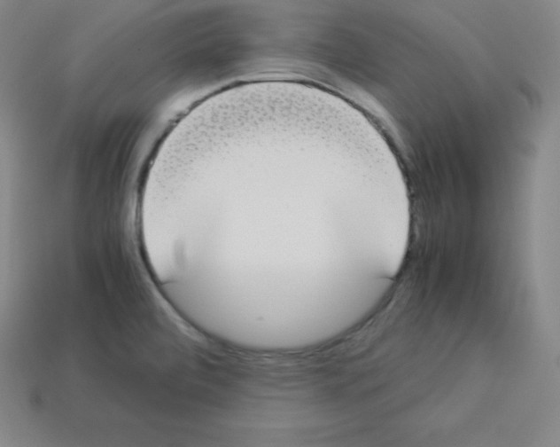 X0000112851472200910021241