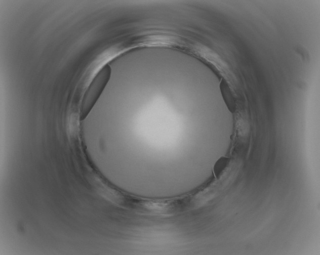 X0000112851473200910021241