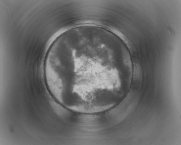 X0000112851474200910021241