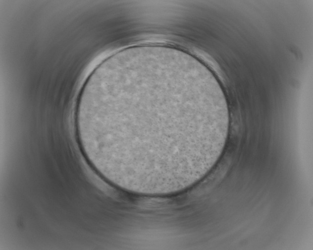 X0000112851475200910021241