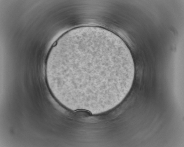 X0000112851476200910021241