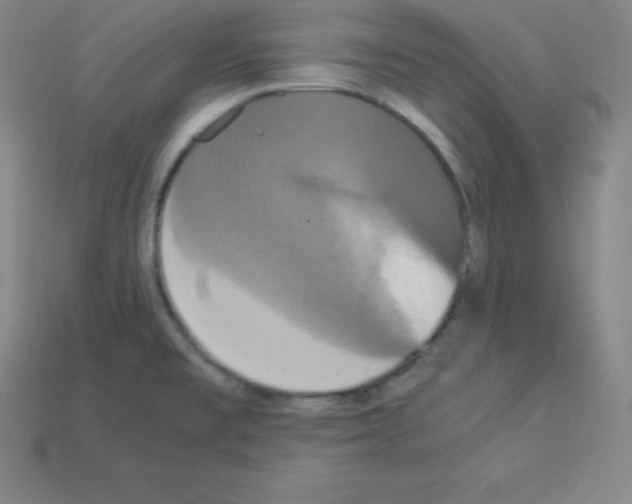 X0000112851477200910021241