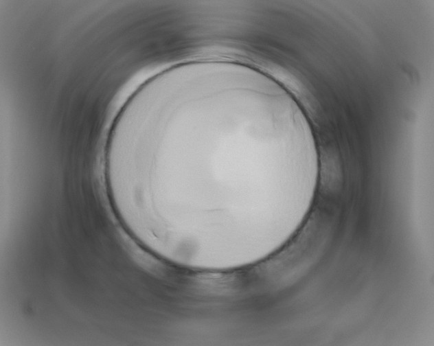 X0000112851478200910021241