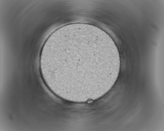 X0000112851479200910021241