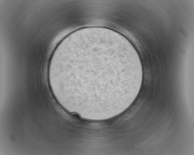 X0000112851480200910021241