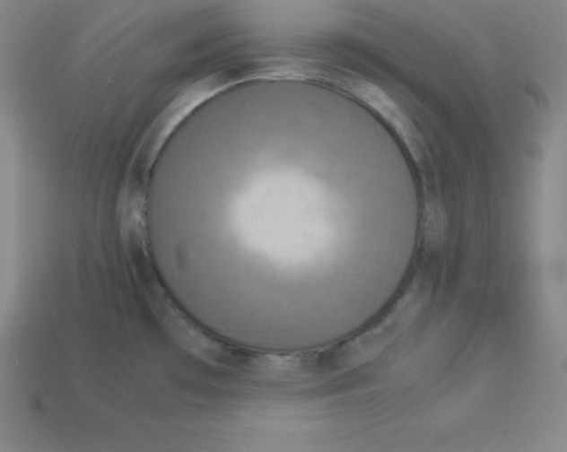 X0000112851481200910021241