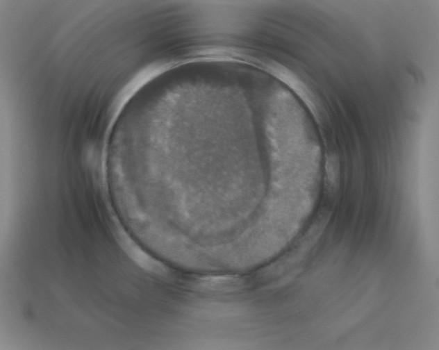 X0000112851482200910021241