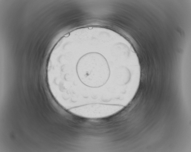 X0000112851483200910021241